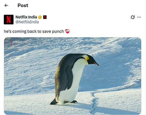 Netflix India post hinting at the "Nihilist Penguin" returning to save Punch