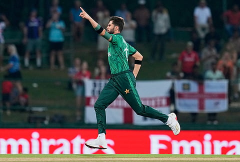 Pakistan's Shaheen Shah Afridi celebrates the wicket of England's Phil Salt during the T20 World Cup cricket match between England and Pakistan in Pallekele, Sri Lanka.
