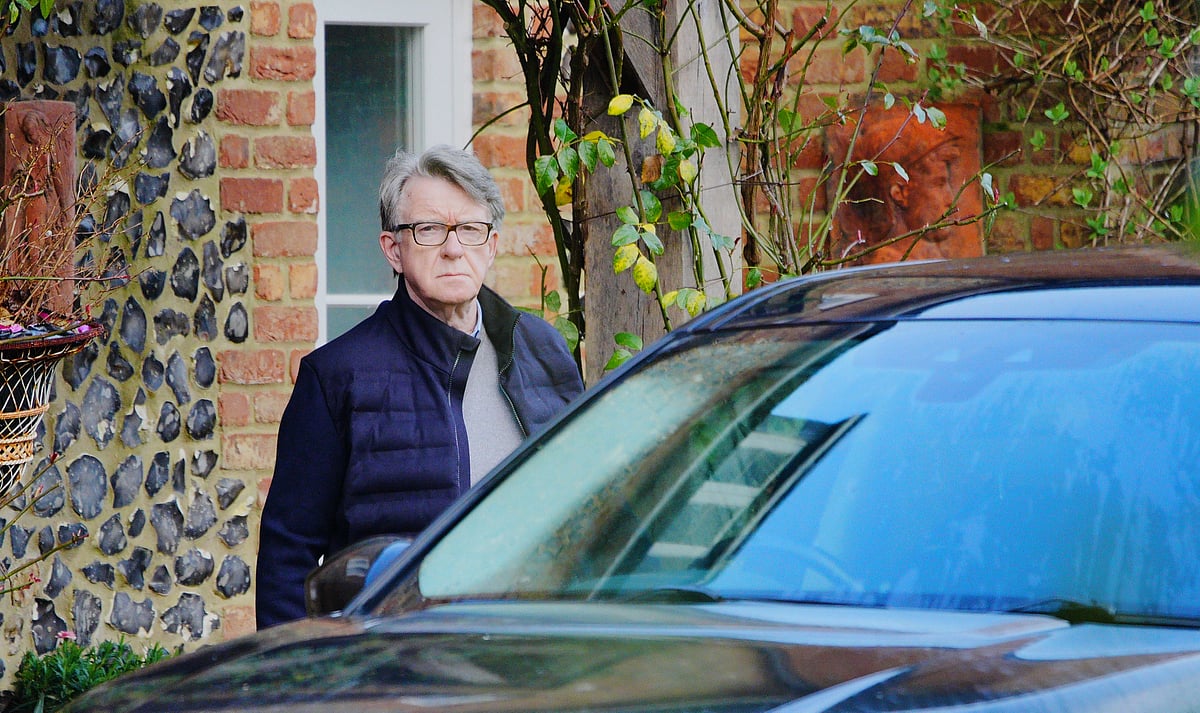 Ben Birchall : Peter Mandelson