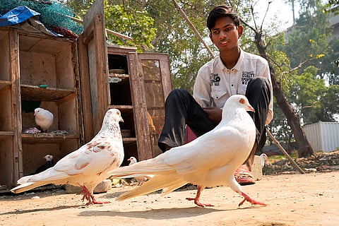 Vikas sits beside the coop  built for his birds in Yamuna Khadar.