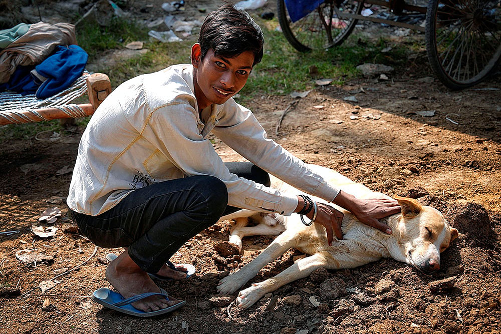 Human-animal bond