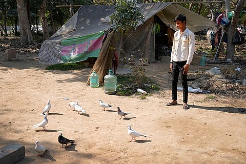 Vikas standing and watching as his pigeons play and roam.