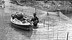 Photo: IMAGO / Depositphotos : Fisherman looking for fish in the river or lake, Begusarai, Bihar