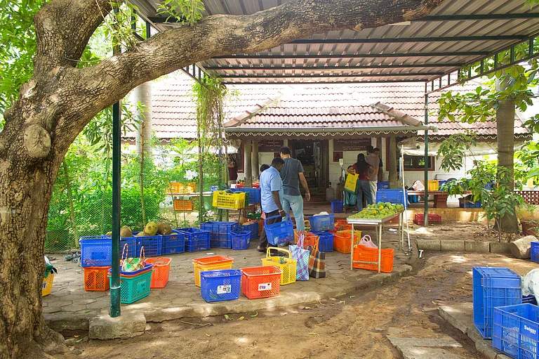Reclaiming Humanity Through Organic Food, Slow Life - null