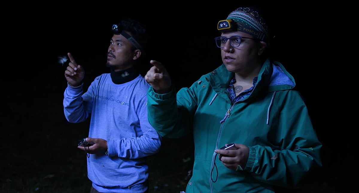 Nocturnes Still