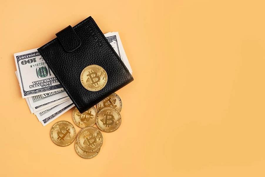 Dollar-Pegged Assets: Shaping The Future Of Crypto Payments