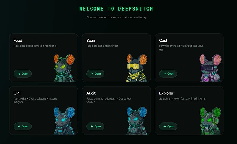 DeepSnitch dashboard with 6 crypto analytics tools