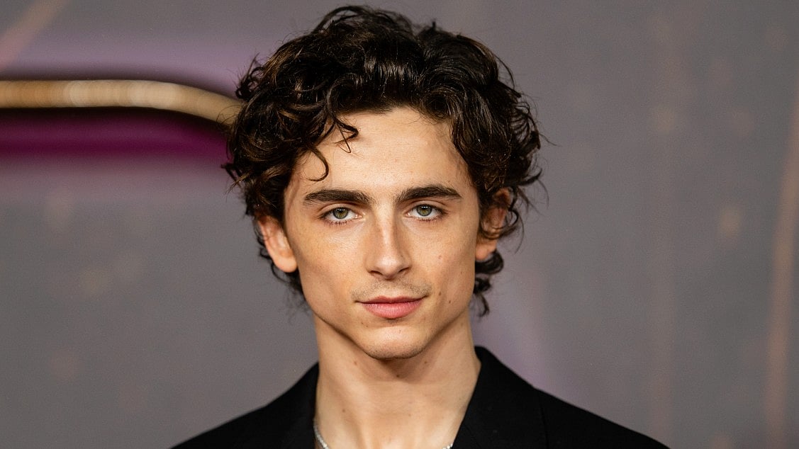 Timothee Chalamet - IMDb
