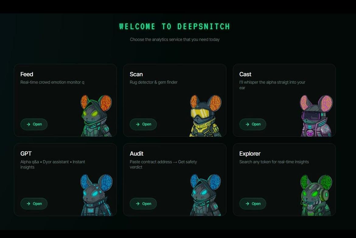 DeepSnitch crypto analytics service dashboard