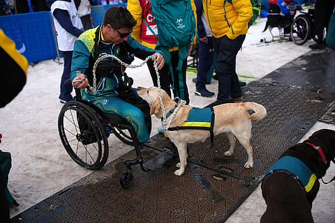 Dave Miln, of Australia, ie welcomed back by his dog Suki after competing in the cross country skiing men's 10Km interval start sitting final at the 2026 Winter Paralympics, in Tesero, Italy.