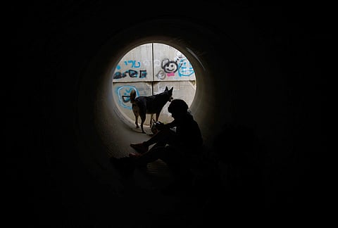 Children with a dog sit inside a cement pipe turned into a bomb shelter as air raid sirens warn of incoming Iranian missile strike in Michmoret, Israel, Saturday, March 14, 2026. 