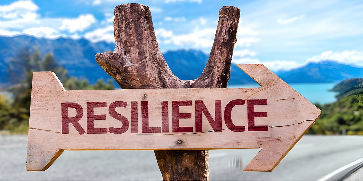 Diet, Sleep And Exercise Boost Resilience, Study Shows; Experts Add Role Of Mindfulness