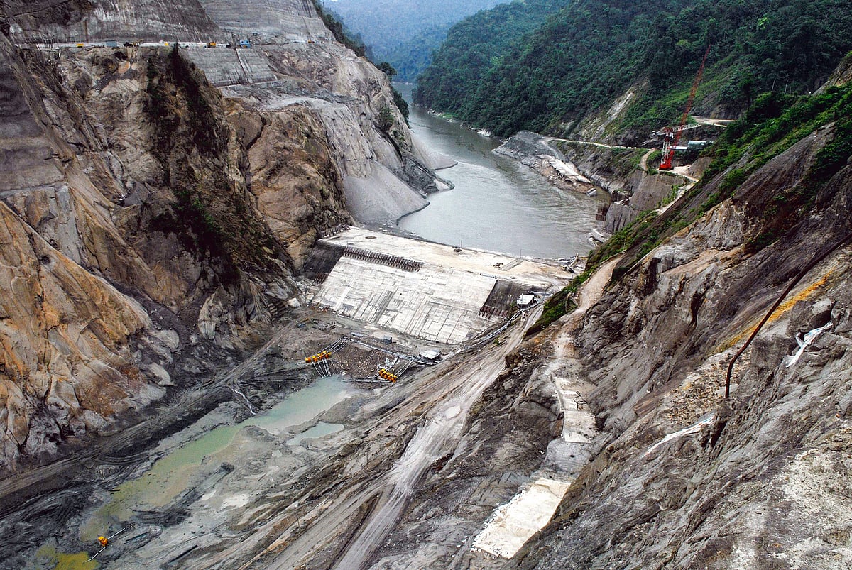MAGO / Newscom World : Ecological Sacrifice At The Altar Of Frontier Development