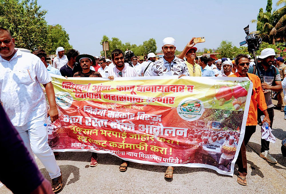 Sindhudurg Mango and cashew farmers protest