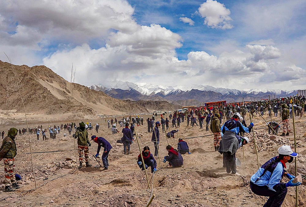 First cold desert riverbank restoration project launched along Indus in Ladakh