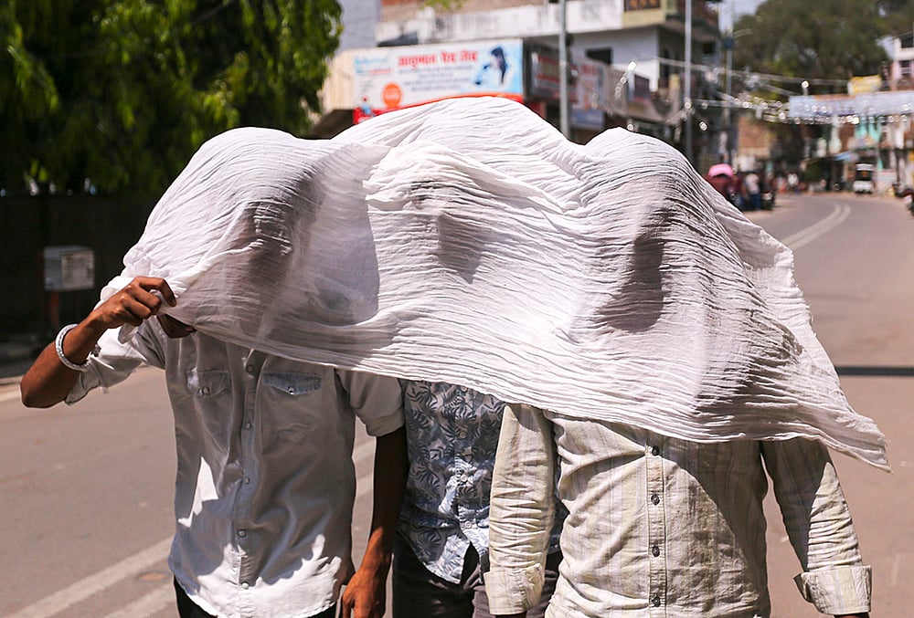 Weather: Sunny day in Prayagraj