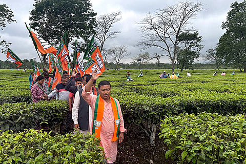 BJP candidate Anandamoy Barman campaigns for the Matigara-Naxalbari Assembly constituency ahead of the state Assembly elections, at Mohorgon Tea Garden near Siliguri, West Bengal.