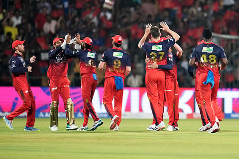 Royal Challengers Bengaluru players celebrate the wicket of Sunrisers Hyderabad's Abhishek Sharma during the Indian Premier League cricket match between Royal Challengers Bengaluru and Sunrisers Hyderabad in Bengaluru, India.