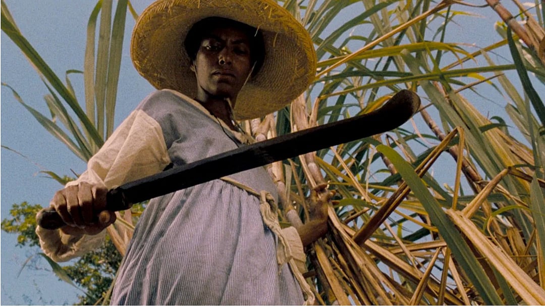 A Still From Sankofa