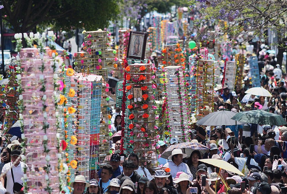 Mexico Bird Vendors