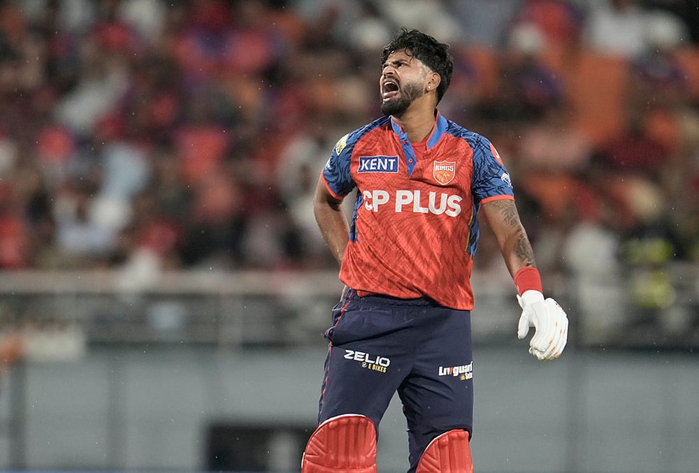 | Photo: AP/Ashwini Bhatia : Punjab Kings' captain Shreyas Iyer winces in pain after getting hit by a shot from batting partner Cooper Connolly during the Indian Premier League cricket match between Gujarat Titans and Punjab Kings in New Chandigarh.