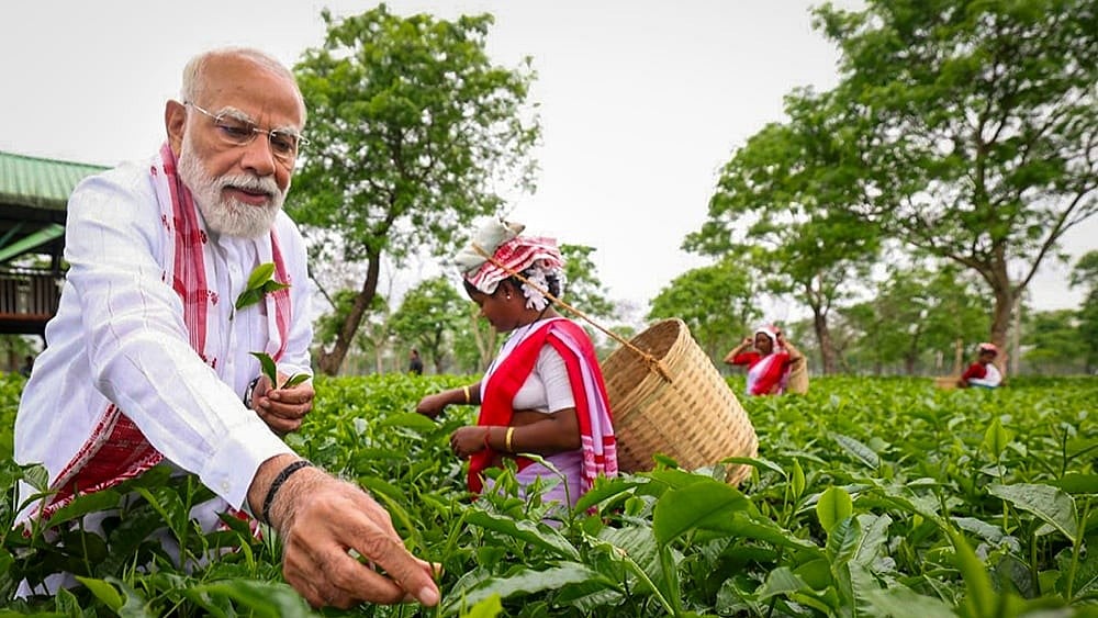 Prime Minister Narendra Modi plucks tea leaves with women workers at a tea garden, in Dibrugarh, Assam.  - | Photo: @narendramodi/X via PTI