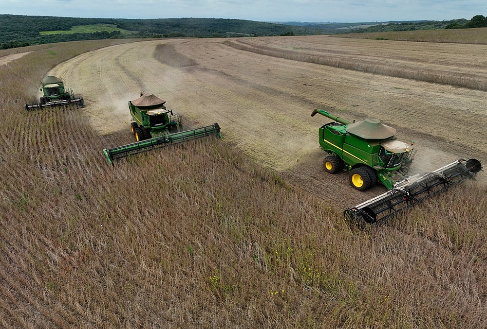 Brazil Soybeans