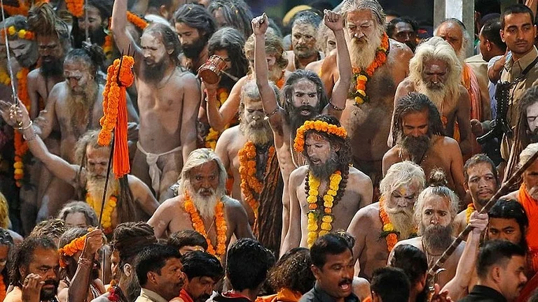 Haridwar Proposes Relocating Meat Shops Before Next Year’s Ardh Kumbh - Representative Image