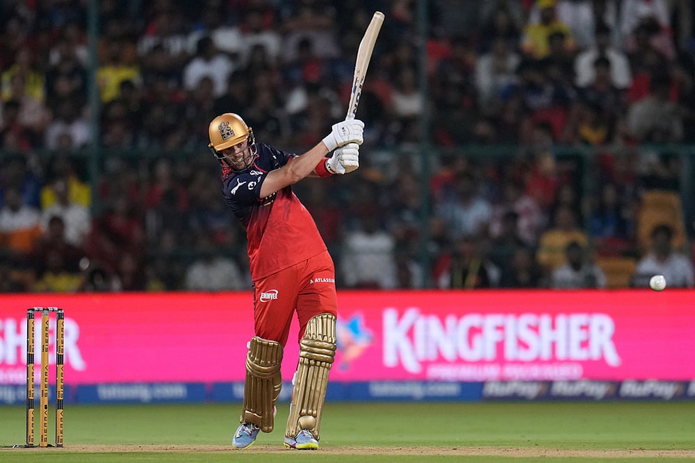 IPL Phil Salt 