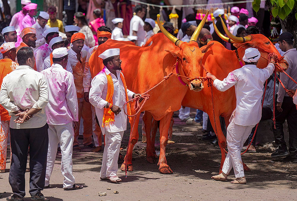 Bagad Yatra in Surur