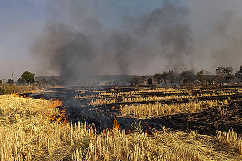 Dark smoke billows from a field after farmers burn stubble, in Raisen, Madhya Pradesh.