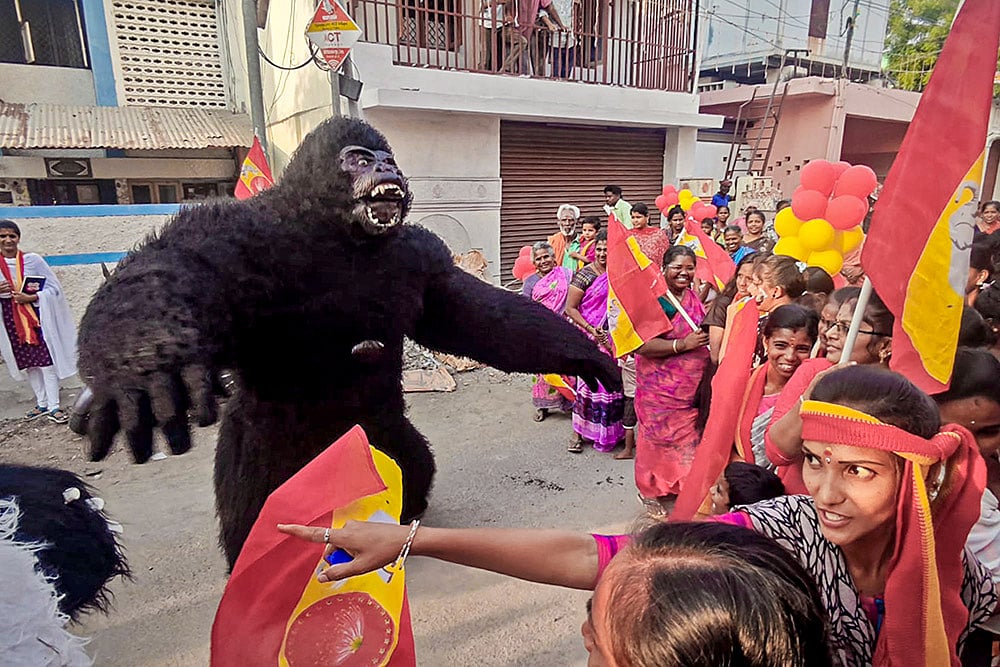 TN polls: TVK candidate campaign in Madurai
Photos : Showing 1 to 1 of 1 items