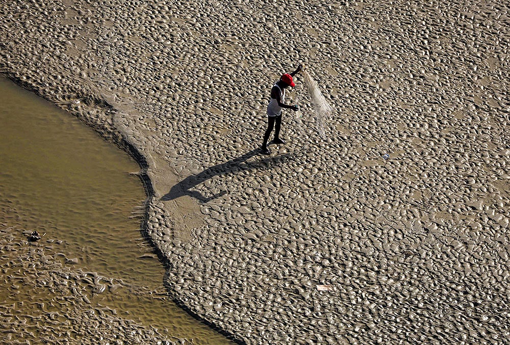 Prayagraj: Fisherman cleans net amid receding water levels
