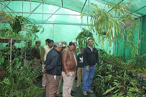 Khyanjeet Gogoi at his orchidarium.