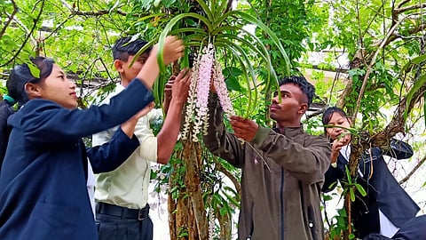 Life members of the Orchid Society of Assam.