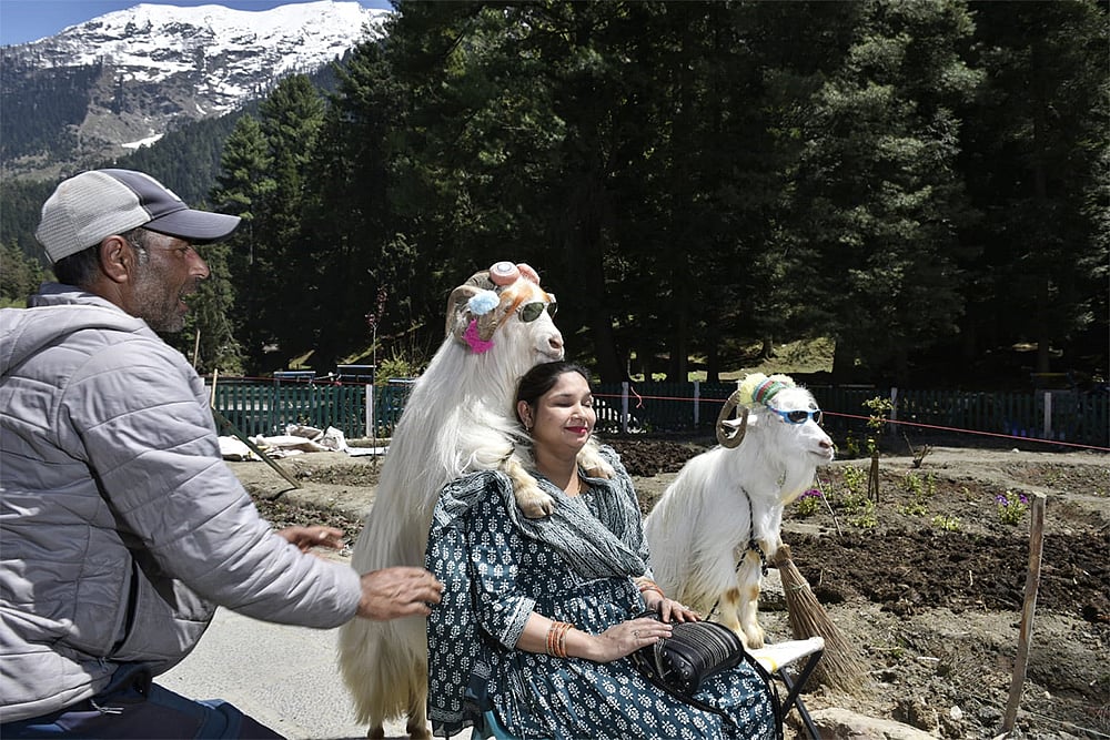 Kashmir tourism after attack