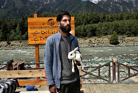 Mushtaq Ahmad, 26, from Pahalgam, earns a living by offering his rabbit to tourists for photographs. Previously employed in the hospitality industry, he was laid off last year following the closure of his hotel due to attacks in the region.
