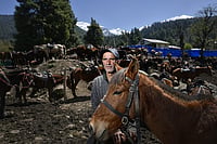 One Year After Pahalgam: A Valley’s Fragile Return To Hope Yasir Iqbal : Waiting for tourists in Pahalgam, 46-year-old Farooq Ahmad stands with his pony. With the route to Baisaran restricted, Farooq finds himself with little work. "I hope it will reopen and things will get better," he says.