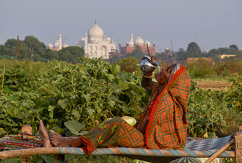 An elderly woman drinks water in a field near the Taj Mahal on a hot summer day, in Agra, Uttar Pradesh.
