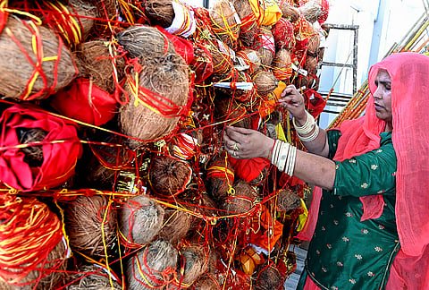 A woman performs a ritual on the occasion of ‘Mohini Ekadashi’ festival at a temple, in Bikaner, Rajasthan.