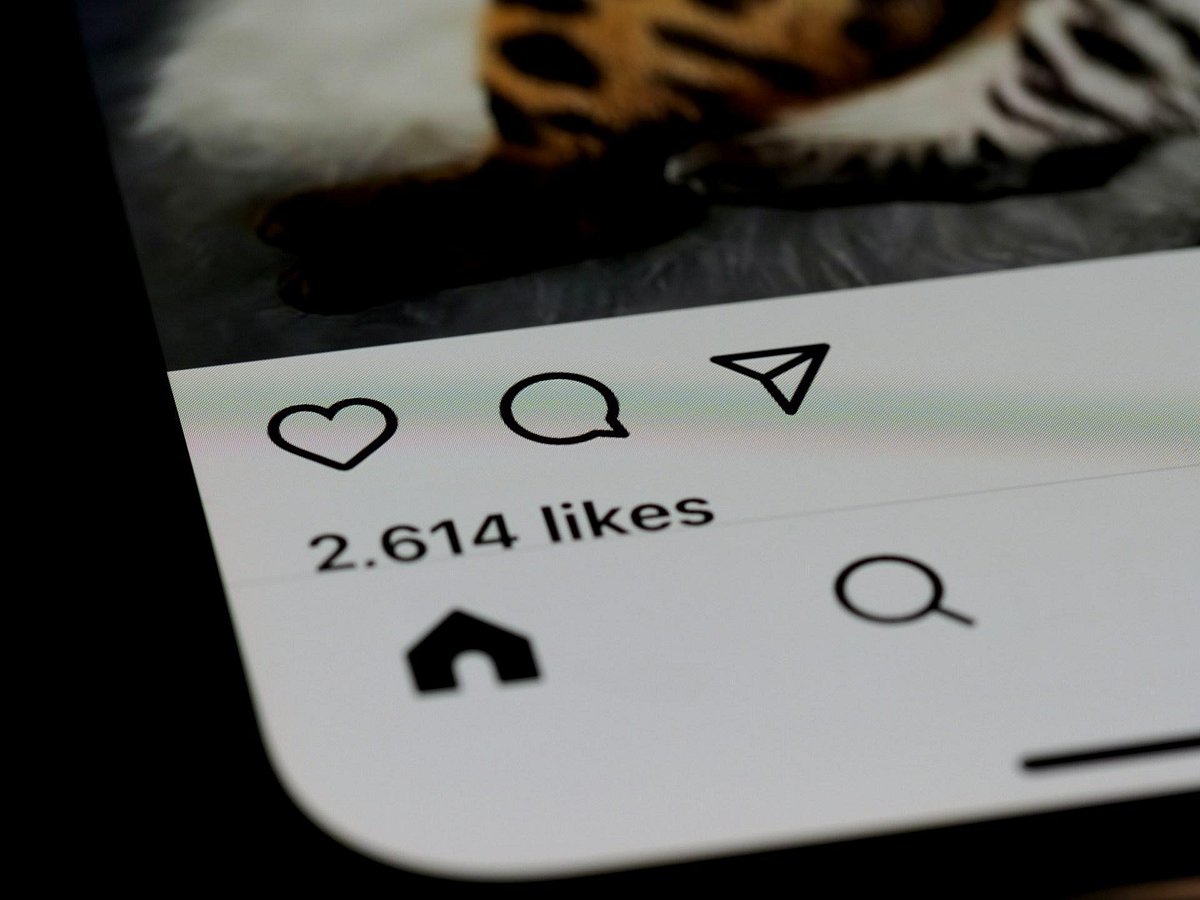 Instagram interface showing a post with likes