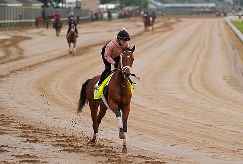 Kentucky Derby entrant Renegade works out at Churchill Downs in Louisville, Kentucky.