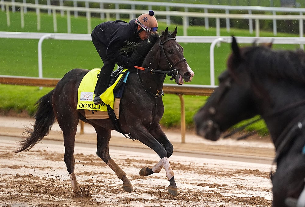 Kentucky Derby horse racing photo gallery
