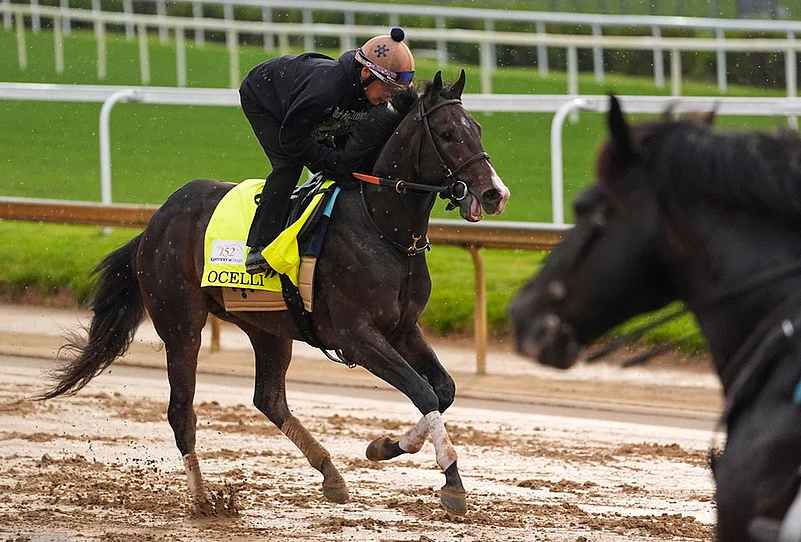 Kentucky Derby horse racing photo gallery