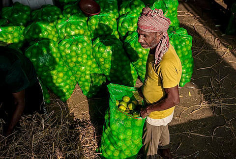 A worker carries packs of sweet lime at a wholesale fruit market on the occasion of International Labour Day, in Prayagraj, Uttar Pradesh.