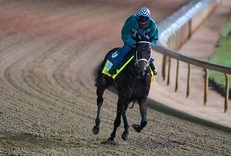Kentucky Derby horse racing