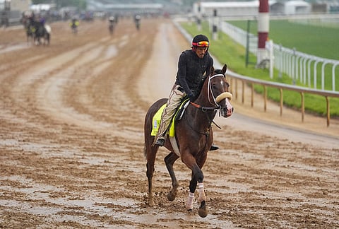 Kentucky Derby entrant Intrepido works out at Churchill Downs in Louisville, Kentucky.