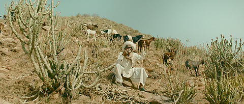 A Still From ‘Dug Dug’ (2021)