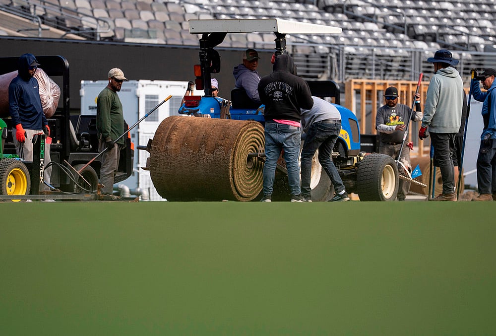 Grass is greener in New Jersey 2026