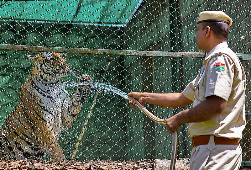 Weather: Hot summer season in Jaipur